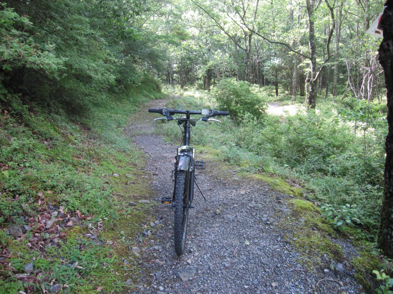 しゃくなげサイクリング