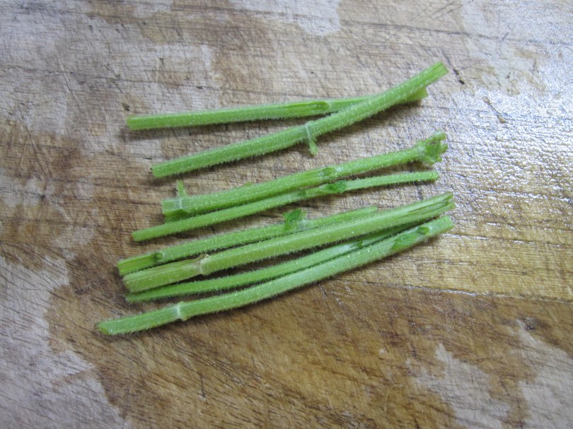 ミントの茎を切ったもの