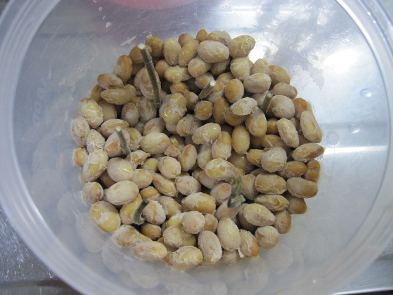 大豆ミントラップ取る