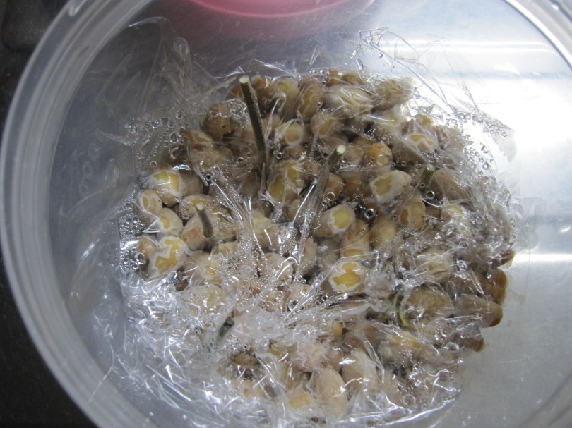 大豆ミント発酵後