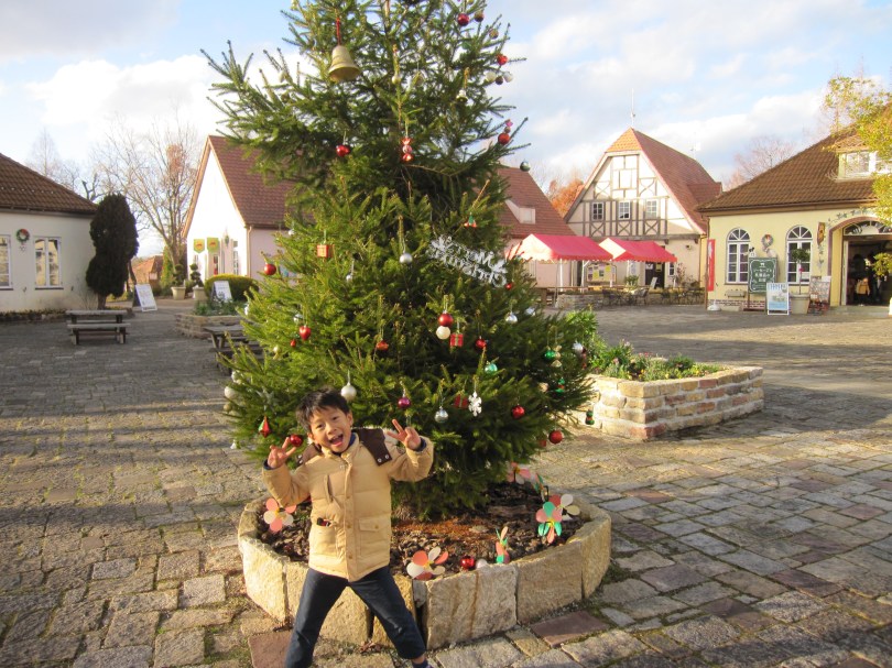 拓クリスマスツリー