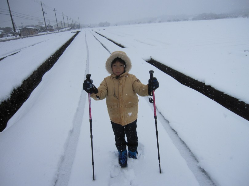 拓ノルディック