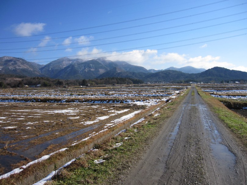 １月ノルディック