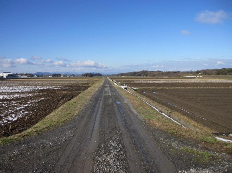 １月ノルディック２